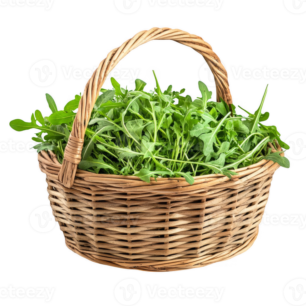 Fresh Wild Rucola in a Basket png
