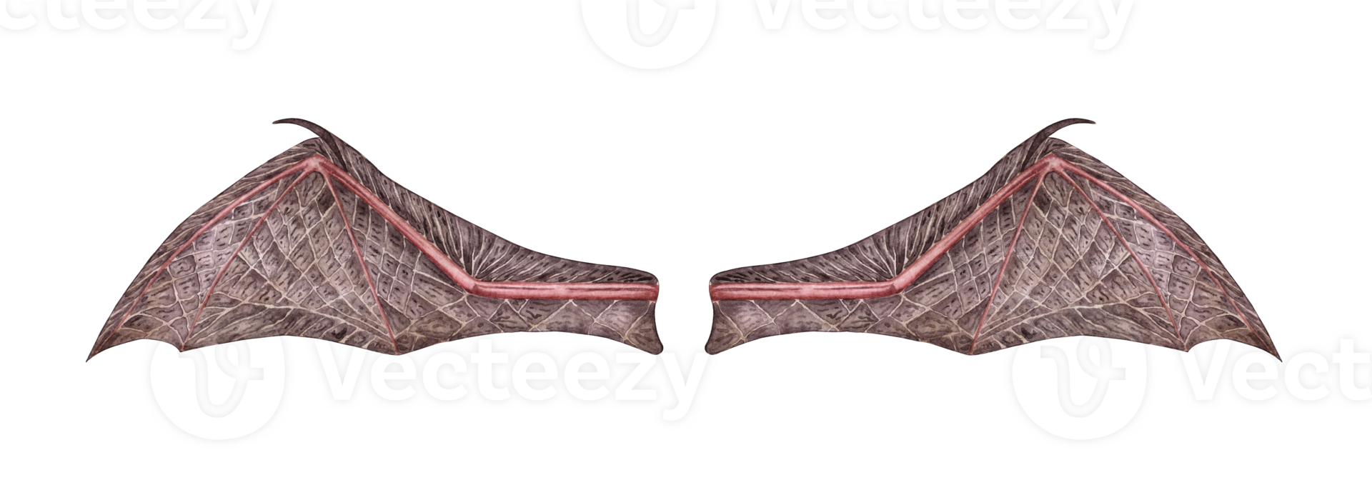 Bat wings in brown color stretched along the length of a watercolor illustration. Gothic Halloween decoration isolated from background. Animal wing. For the design of icons, business cards, covers, png