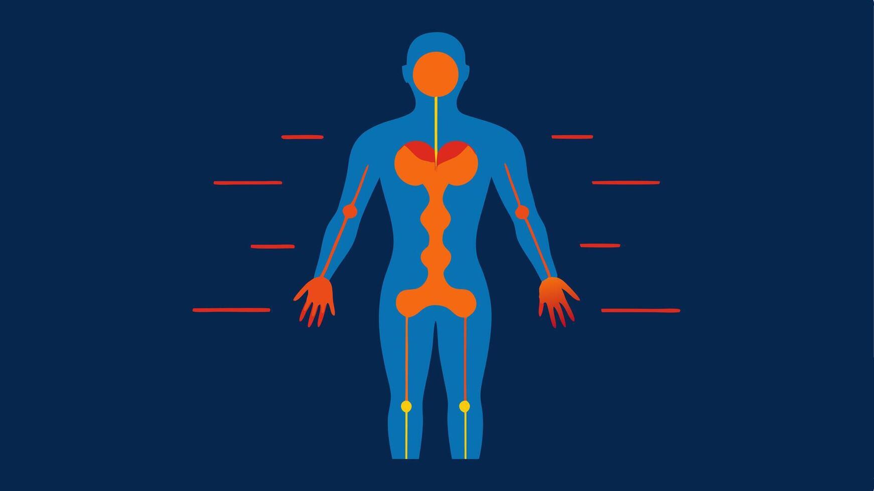 Thermal Imaging of Body A graphic showcasing a human figure in thermal colors indicating areas of heat and energy flow related to biofeedback and optimization.. vector