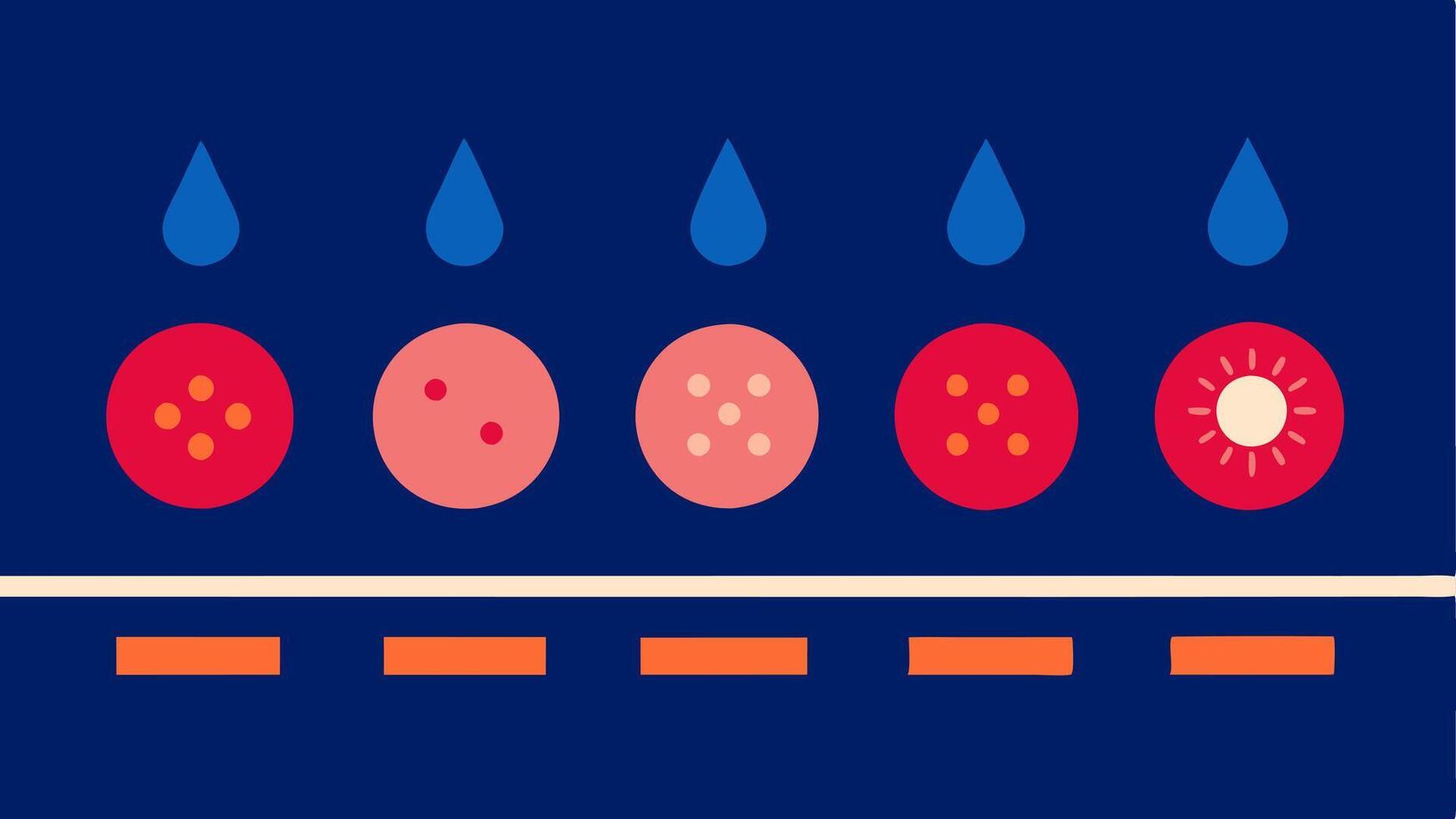 TimeLapse Effect A sequential illustration depicting the gradual improvement of skin texture and tone over several sessions of infrared light therapy.. vector