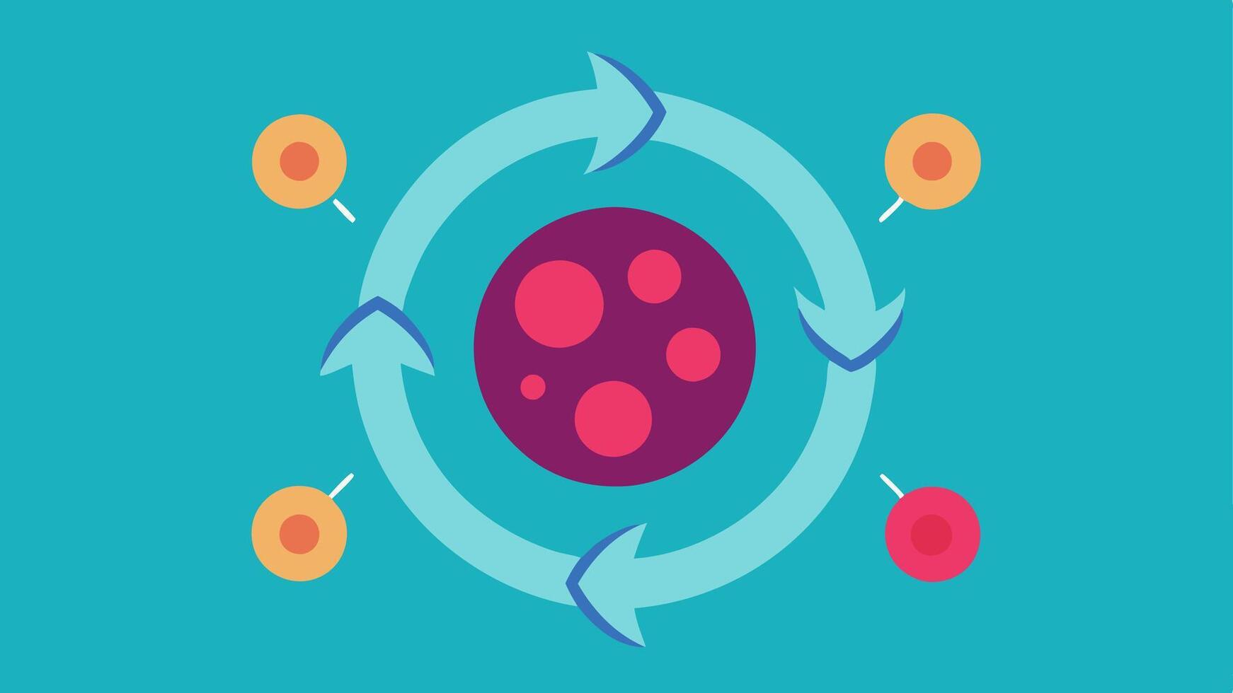 Stem Cells and Renewal A graphic depicting stem cells surrounded by arrows indicating regeneration and the potential for reversing agerelated traits.. vector