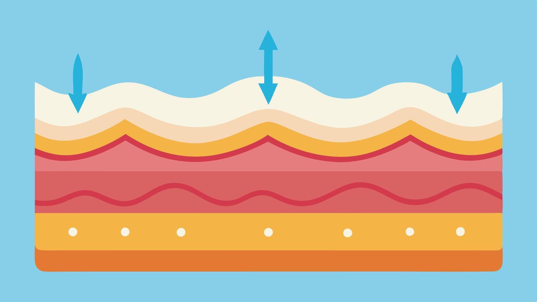 Skin Tightening An illustration of skin layers with arrows showing tightening effects on the epidermis due to collagen stimulation from cold therapy.. vector