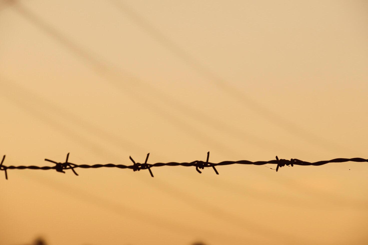 Silhouette of barbed wire in front of a glowing sunset sky, representing conflict, protection, and boundaries photo