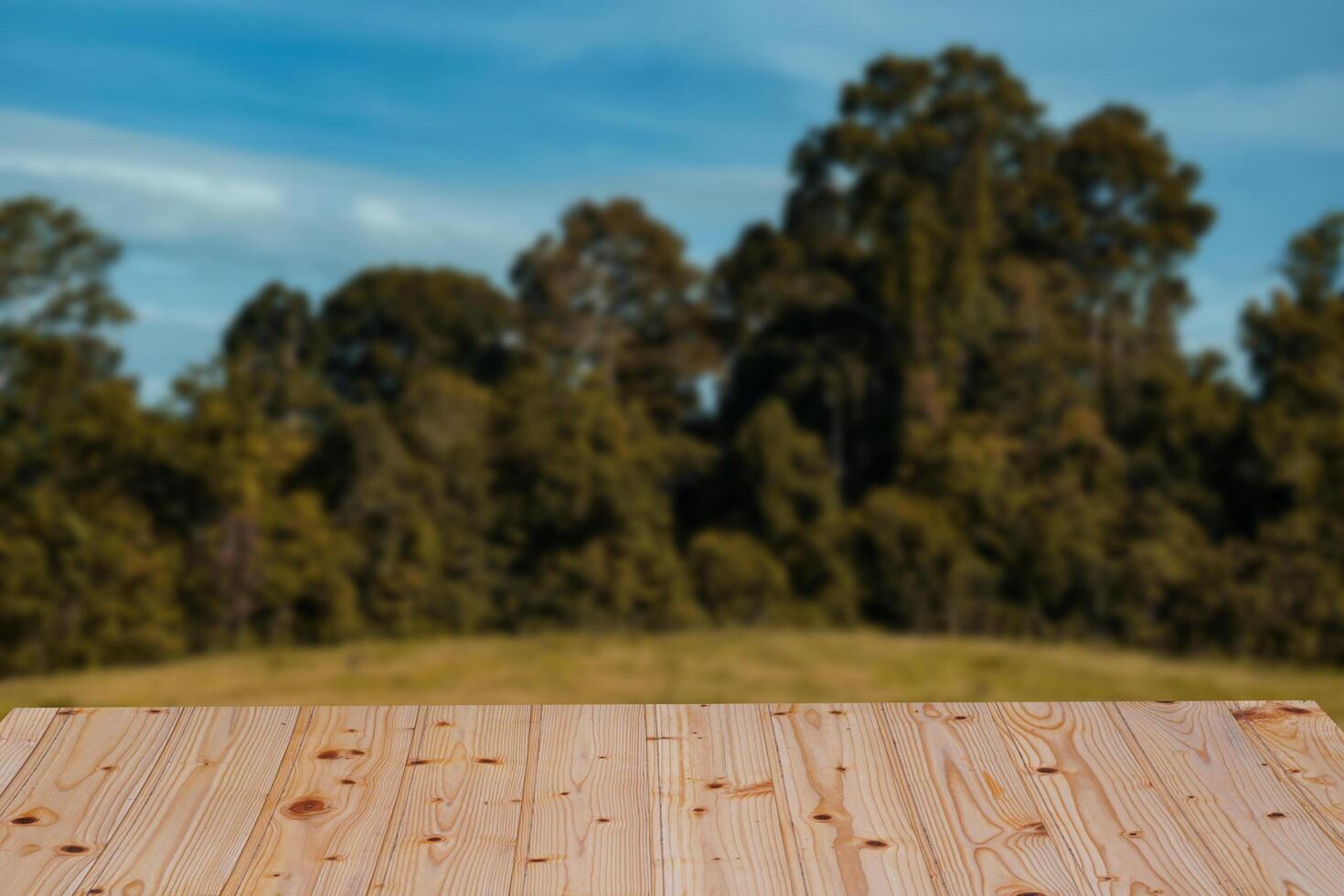 Wooden table surface with blurred natural forest background, perfect for product display or outdoor scene photo