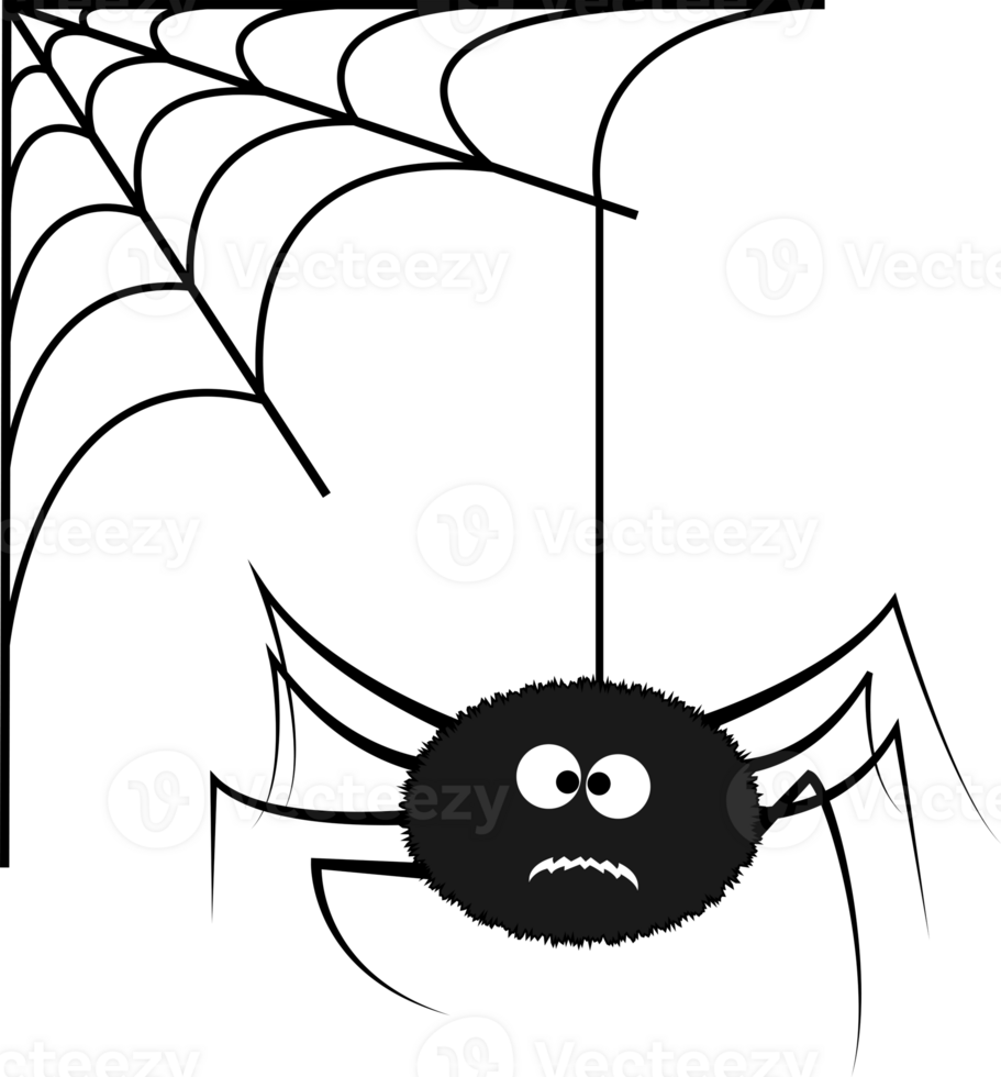 Cute Halloween Spider And Web Decoration Designs png