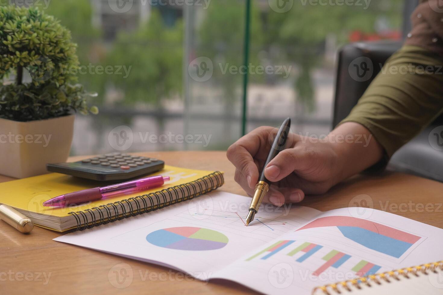Comprehensive Business Analysis and Project Planning Utilizing Detailed Charts and Graphs photo