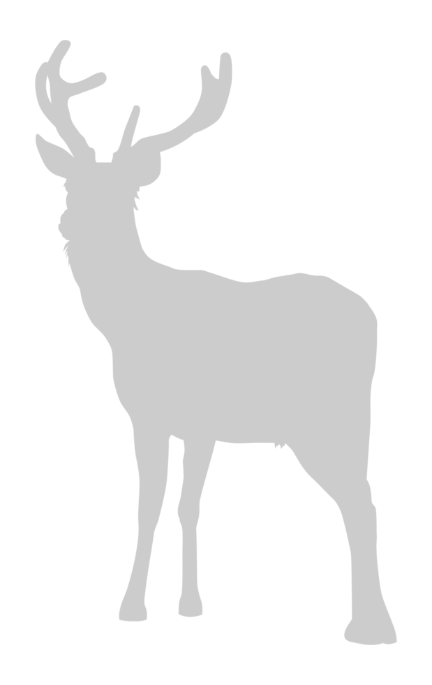 Silhouette of the Deer. Flat style, can use for Logo Gram, Emblem, Animal Illustration, Pictogram, or for Graphic Design Element png