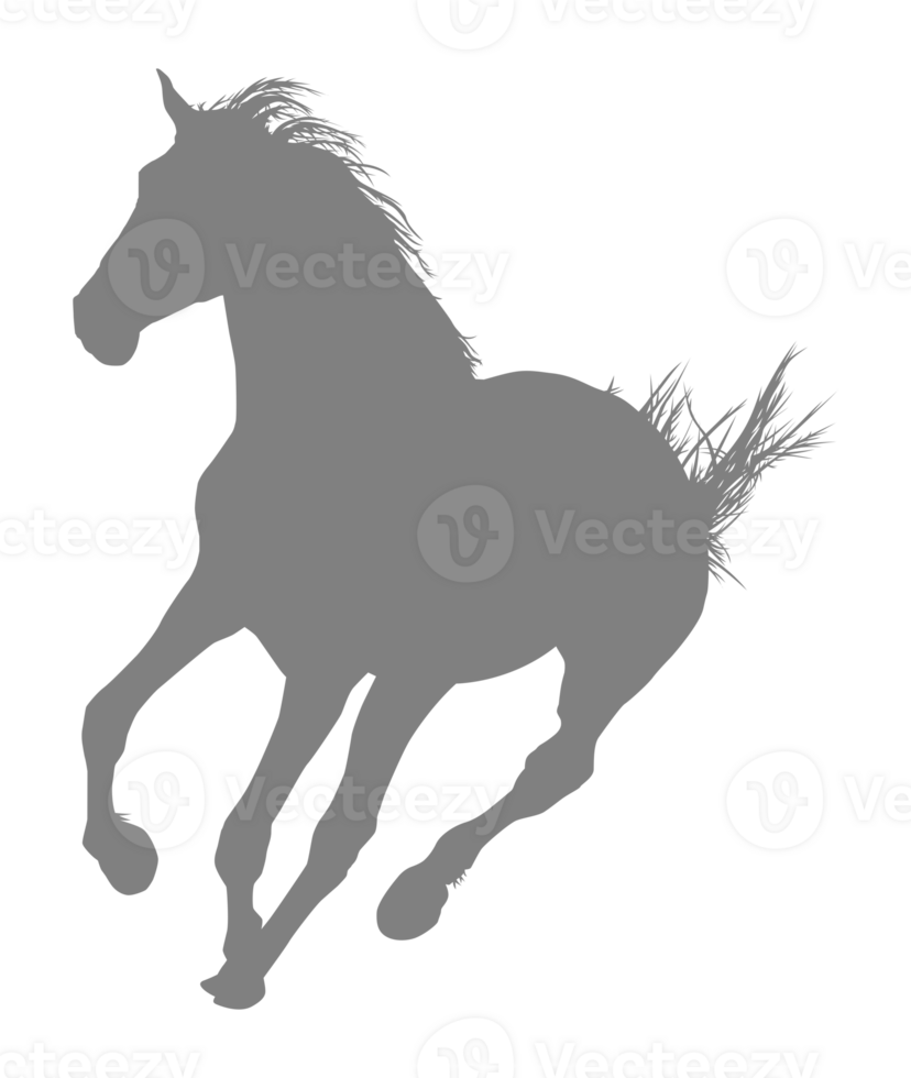 Horse Silhouette, flat style, can use for Logo Gram, Art Illustration, Emblem, Pictogram, Apps, Website or Graphic Design Element png