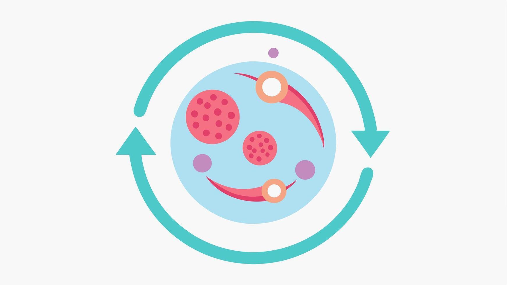 Skin Regeneration Cycle A circular diagram illustrating the cycle of skin regeneration with arrows showing the role of collagen in healing and renewal.. vector
