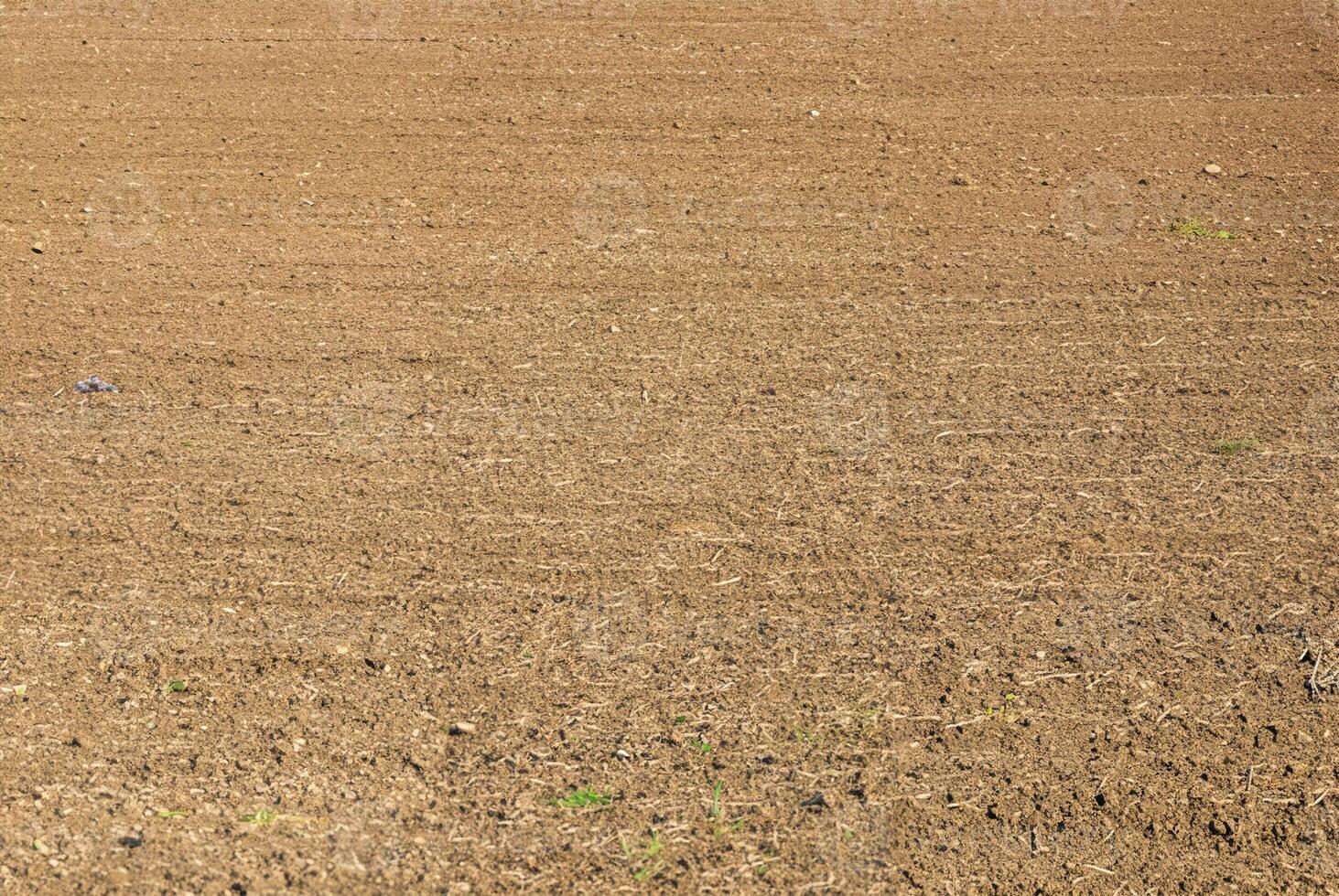 Freshly plowed dry soil on a farmland field, ready for planting or cultivation. Ideal for agricultural and farming concepts. photo