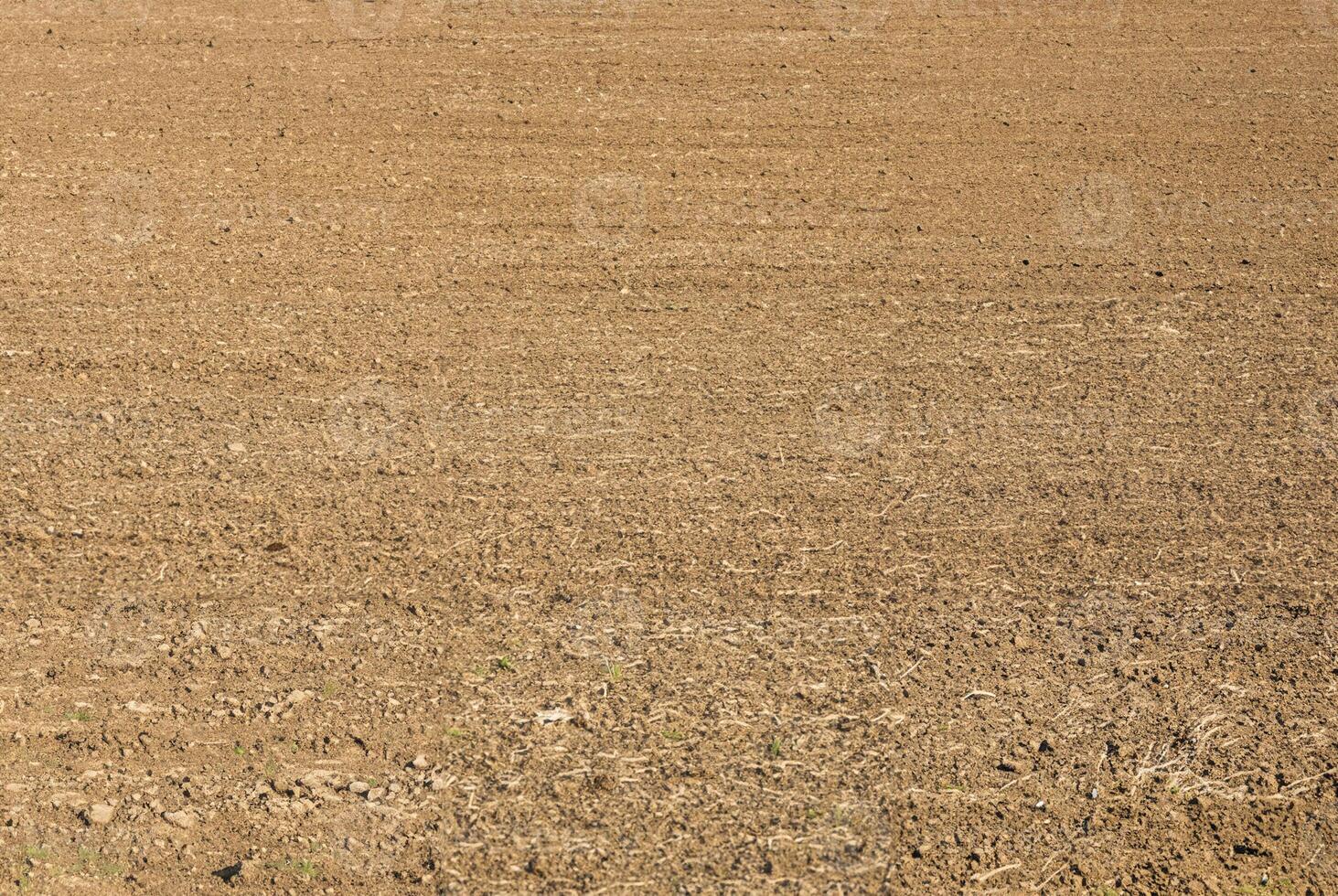 Freshly plowed dry soil on a farmland field, ready for planting or cultivation. Ideal for agricultural and farming concepts. photo