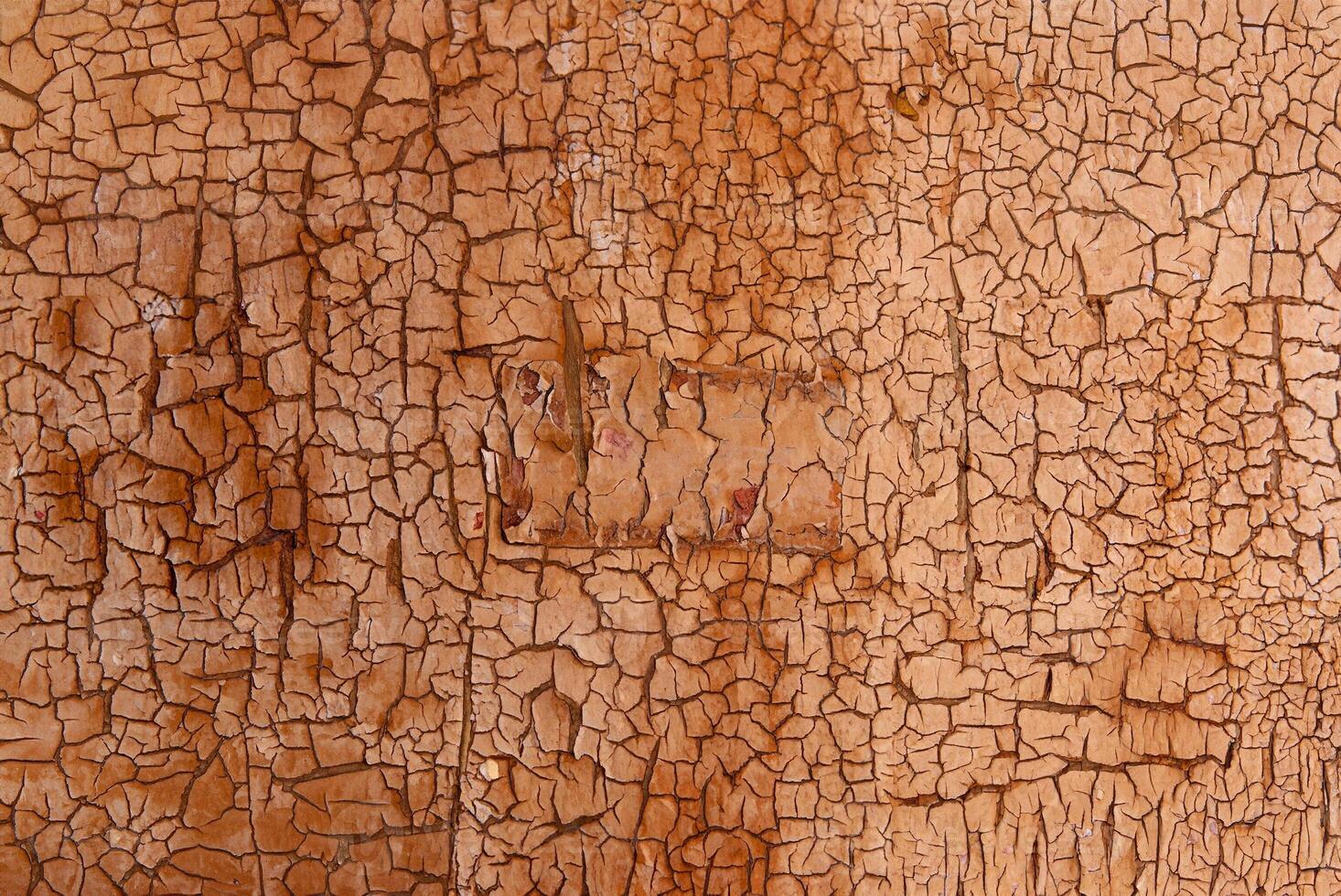 Close-up of cracked and peeling paint on a wooden surface, ideal for backgrounds or concepts of decay and aging. photo