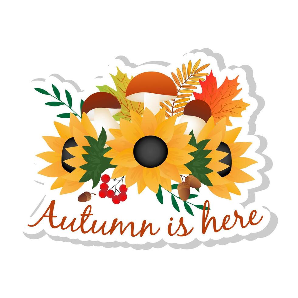 Sticker with autumn maple and sunflower, acorns, rowan, mushrooms on white background. vector