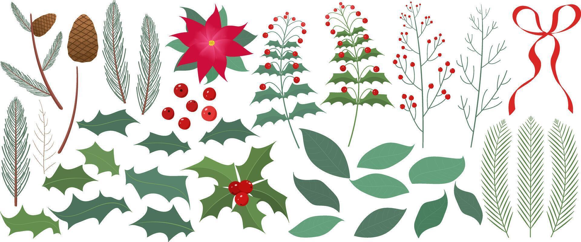 Christmas set of leaves, fir branches, berries on the branches, fir cones, poinsettia flower and red bow vector