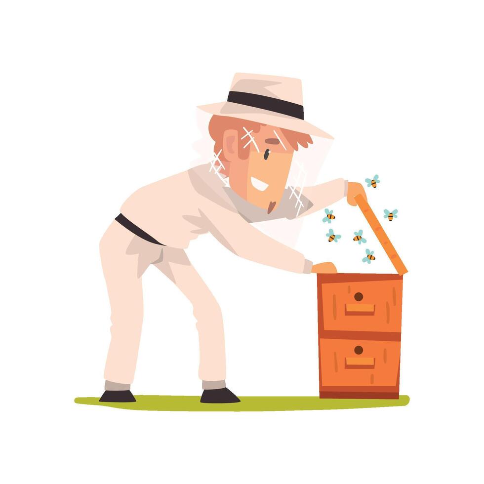 Beekeeper man hiver harvesting honey, apiculture and beekeeping concept Illustration vector