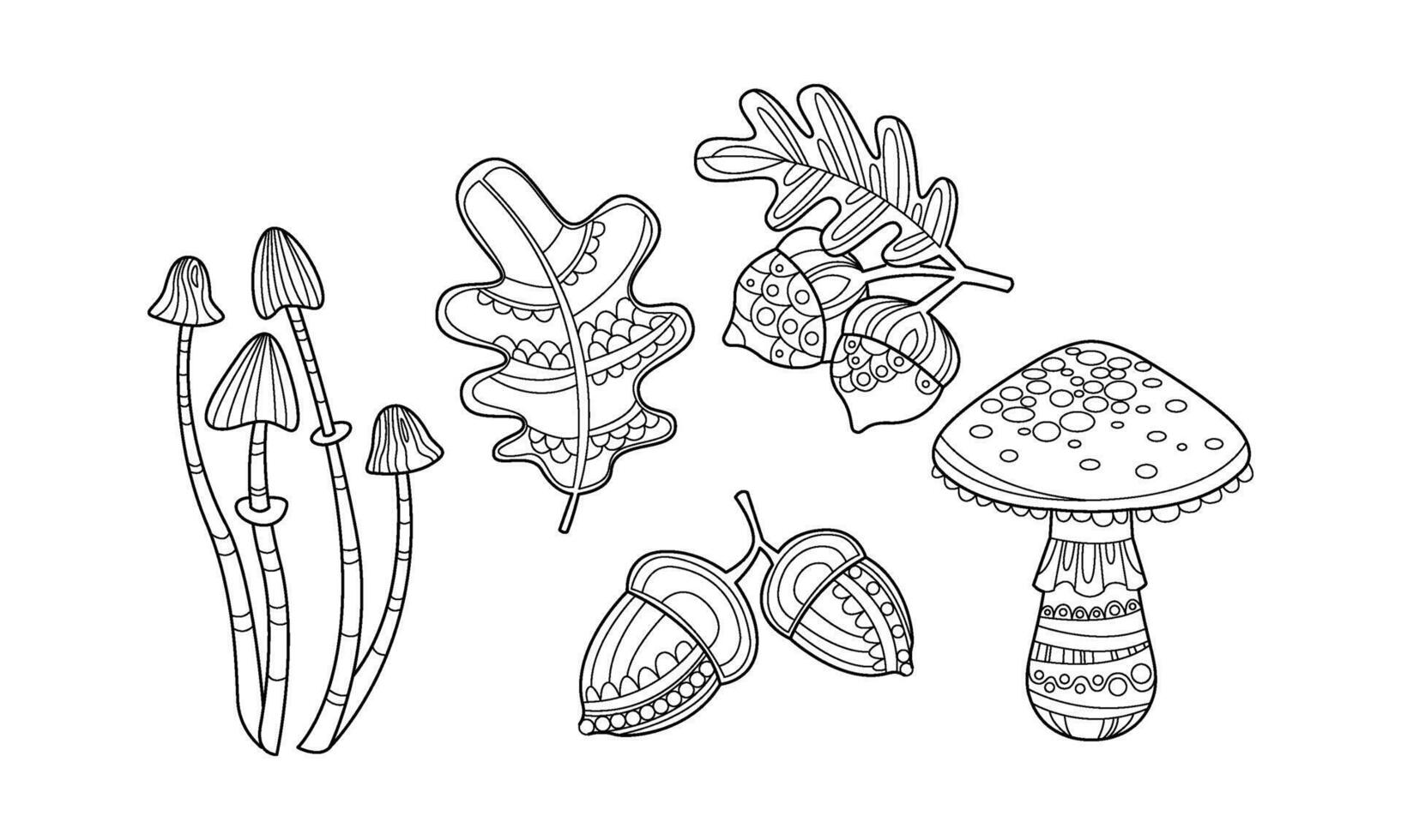 Collection of hand drawn plants, monochrome leaves, mushrooms, hazelnuts and acorns Illustration vector