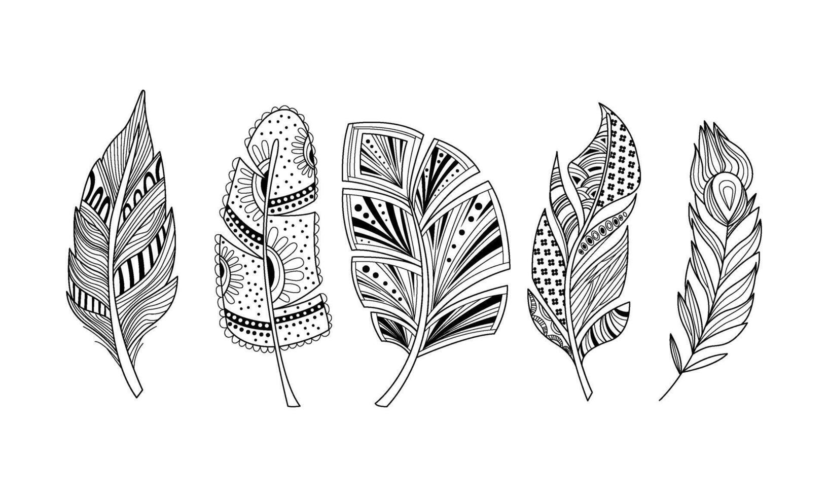 Stylized feathers set, black and white tribal, artistically drawn feathers, pattern for coloring page, tattoo design Illustration on a white background vector
