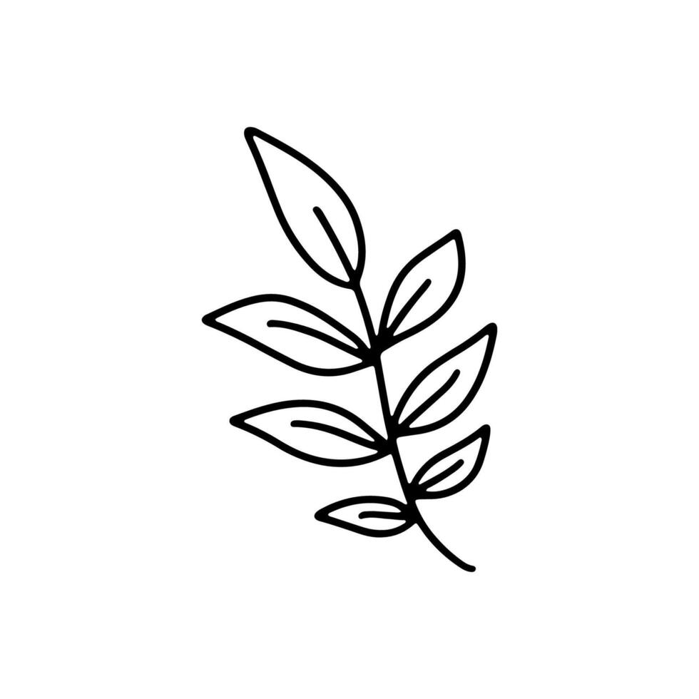 hand drawn autumn leaf isolated on white background icon. Cute doodle fall leaf for seasonal design, textile, decoration for greeting card. Doodle coloring page for adult and kids. Ink line art vector