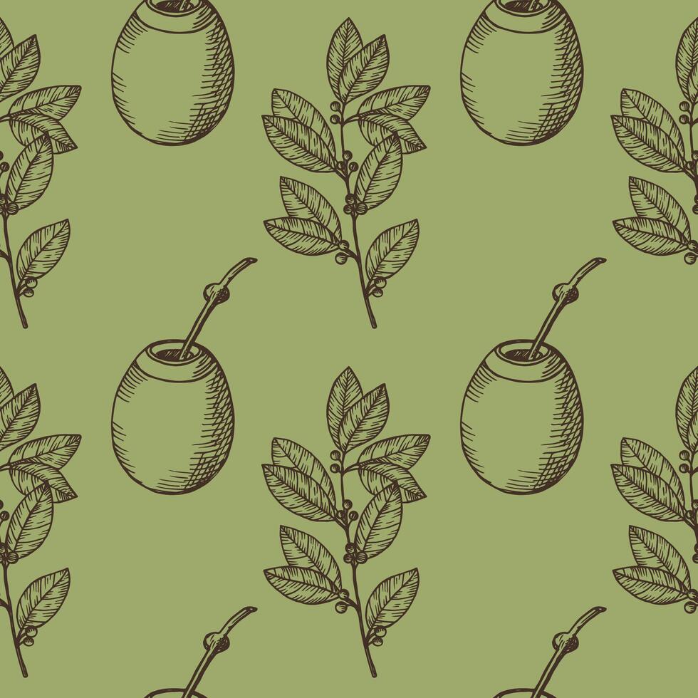 Engraved seamless pattern with Yerba Mate and Pumpkin Calabash. Hand drawn repeating background with mate branch, tea leaves. For label, card, wrapping, paper. Food, medical plant, hot drink vector