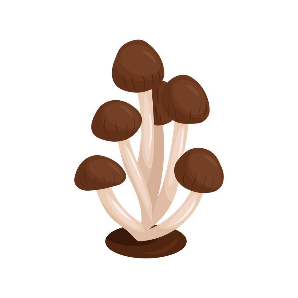 Autumn honey fungus. illustration of brown mushroom vector