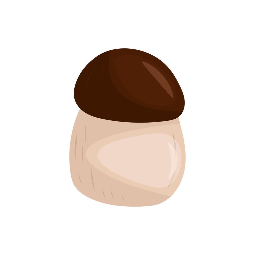 White mushroom on white background illustration vector