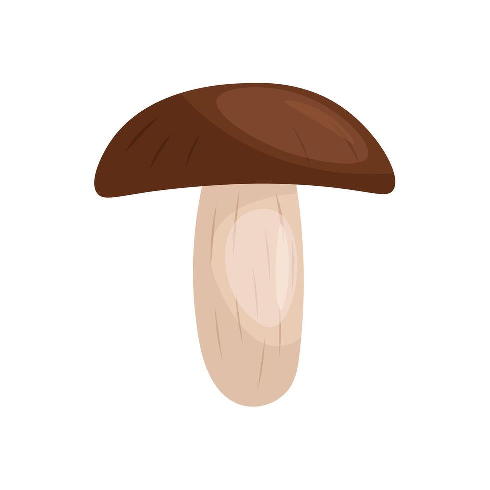 Polish mushroom. illustration of mushroom vector