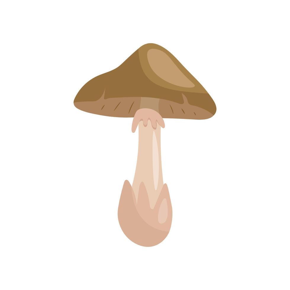 Pale grebe mushroom. illustration of mushroom vector