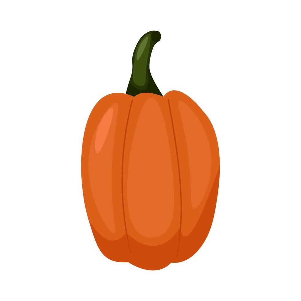 Fall Pumpkin,Orange pumpkin on a white background. Autumn Harvest Icon Symbol Illustration Background vector
