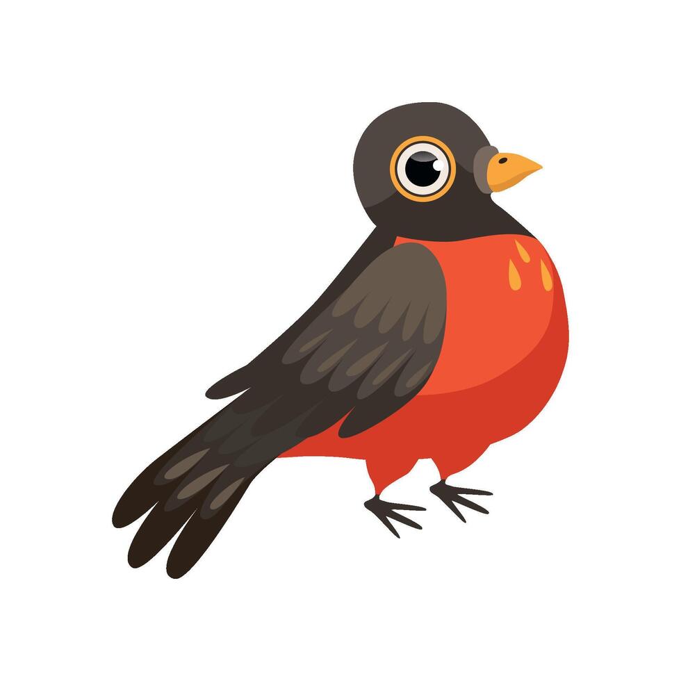 Colorful beautiful robin bird Illustration on a white background vector