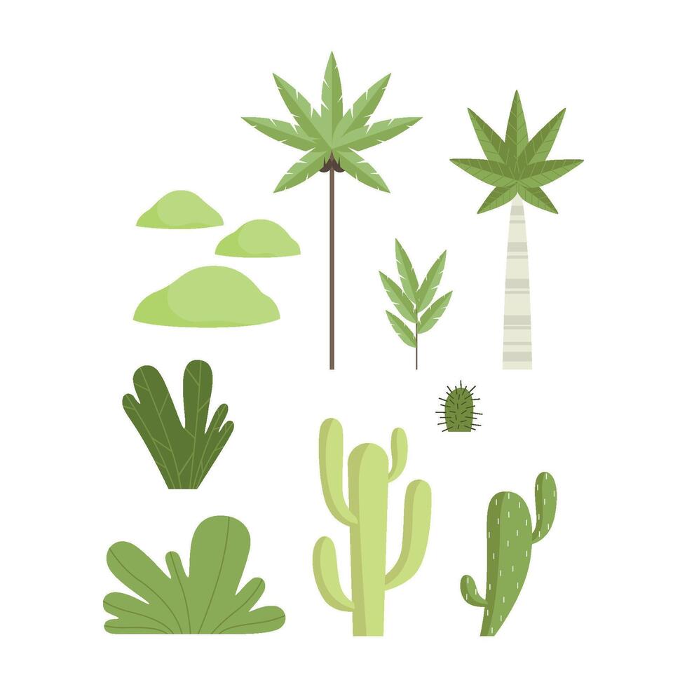 Tropical and desert botanical plants set, landscape constructor design elements Illustration vector