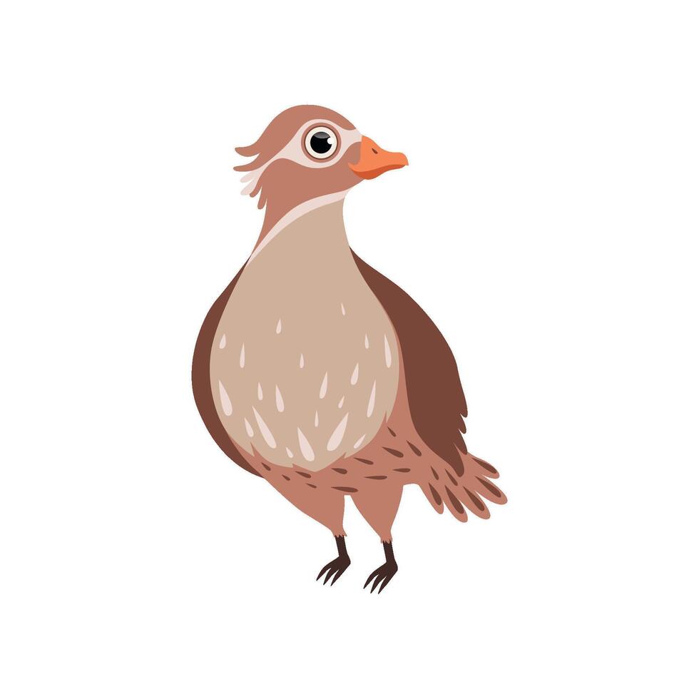 Beautiful bird Illustration on a white background vector