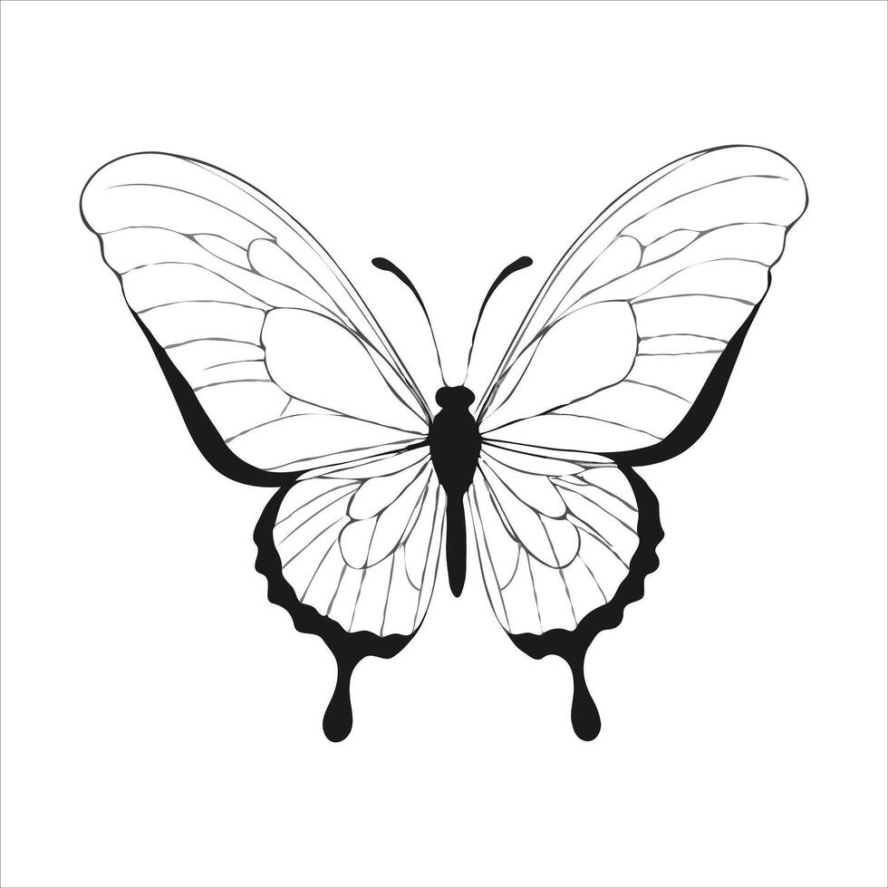 Butterfly coloring pages for kids vector