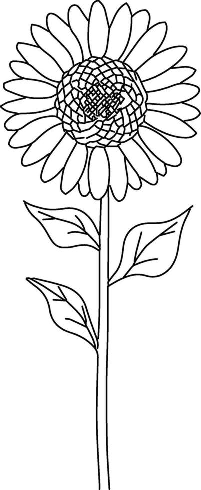 Sunflower ouline illustration vector