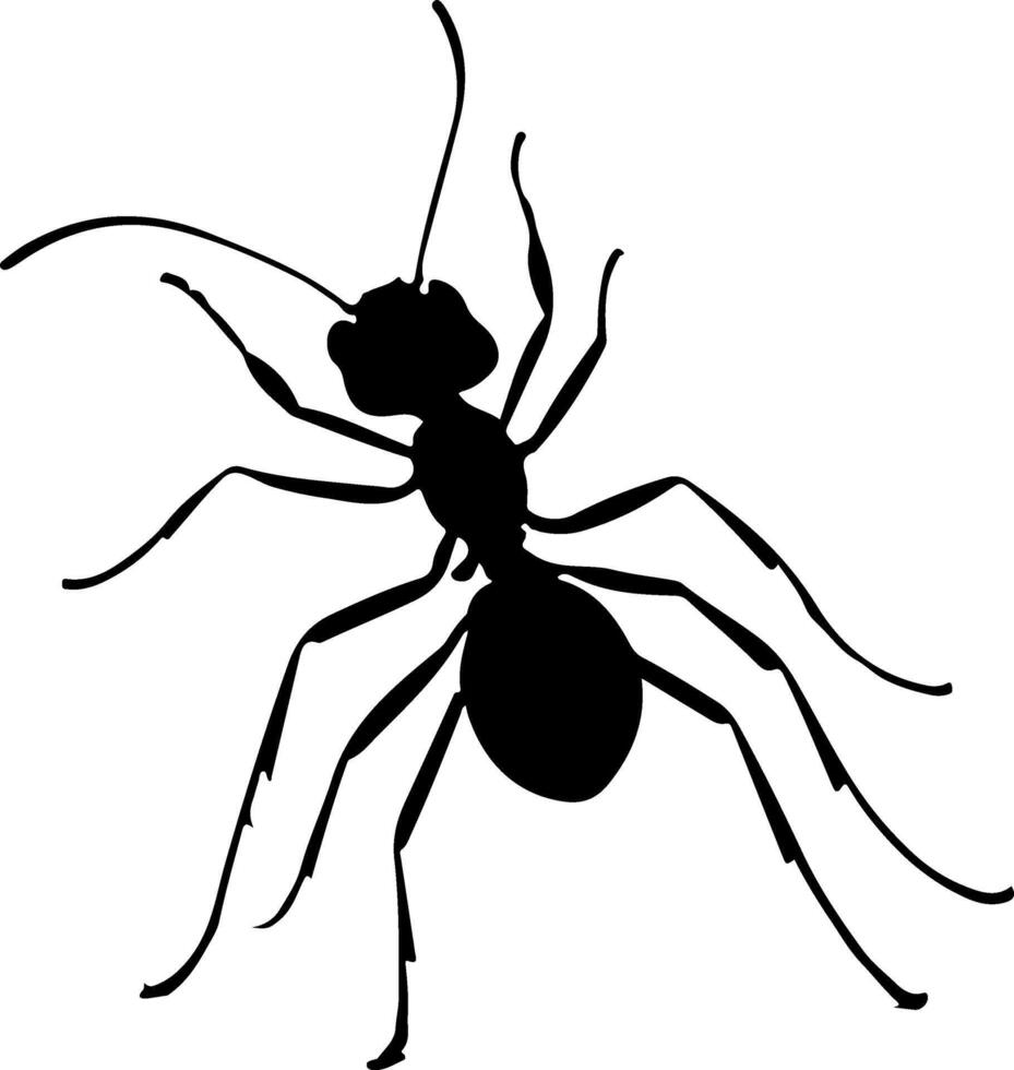 an Ant clip art vector