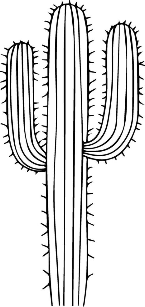 a Cactus outline illustration vector