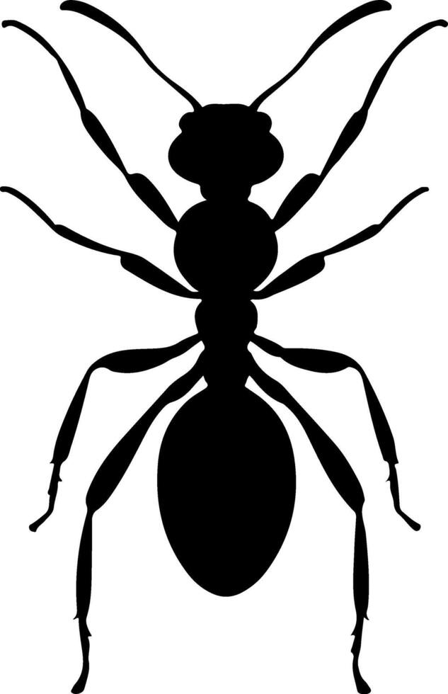 Ant clip art on white vector