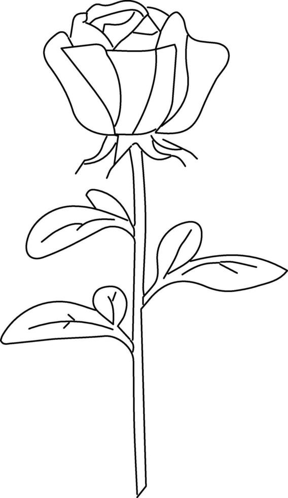 A rose outline vector
