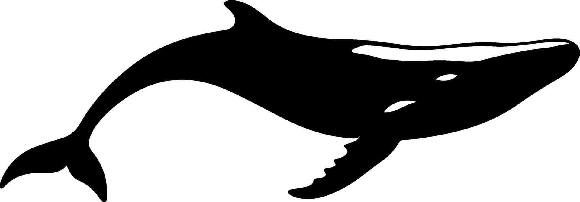 A black and white silhouette of a whale vector