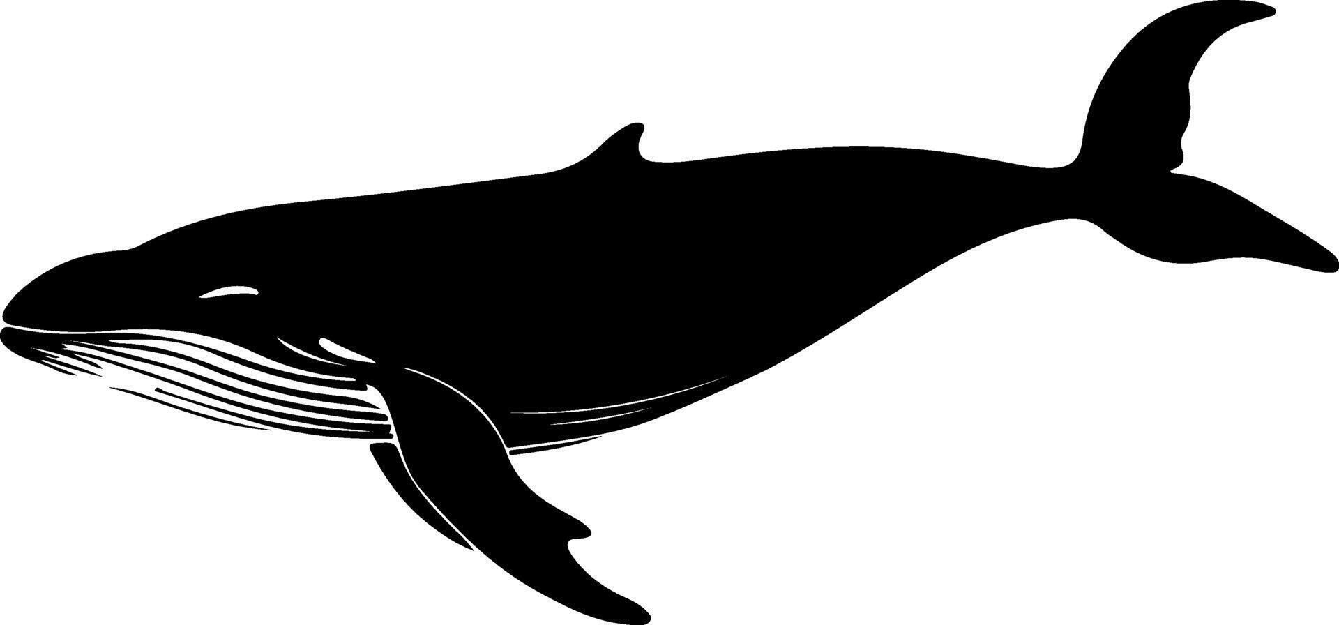 A whale black silhouette vector