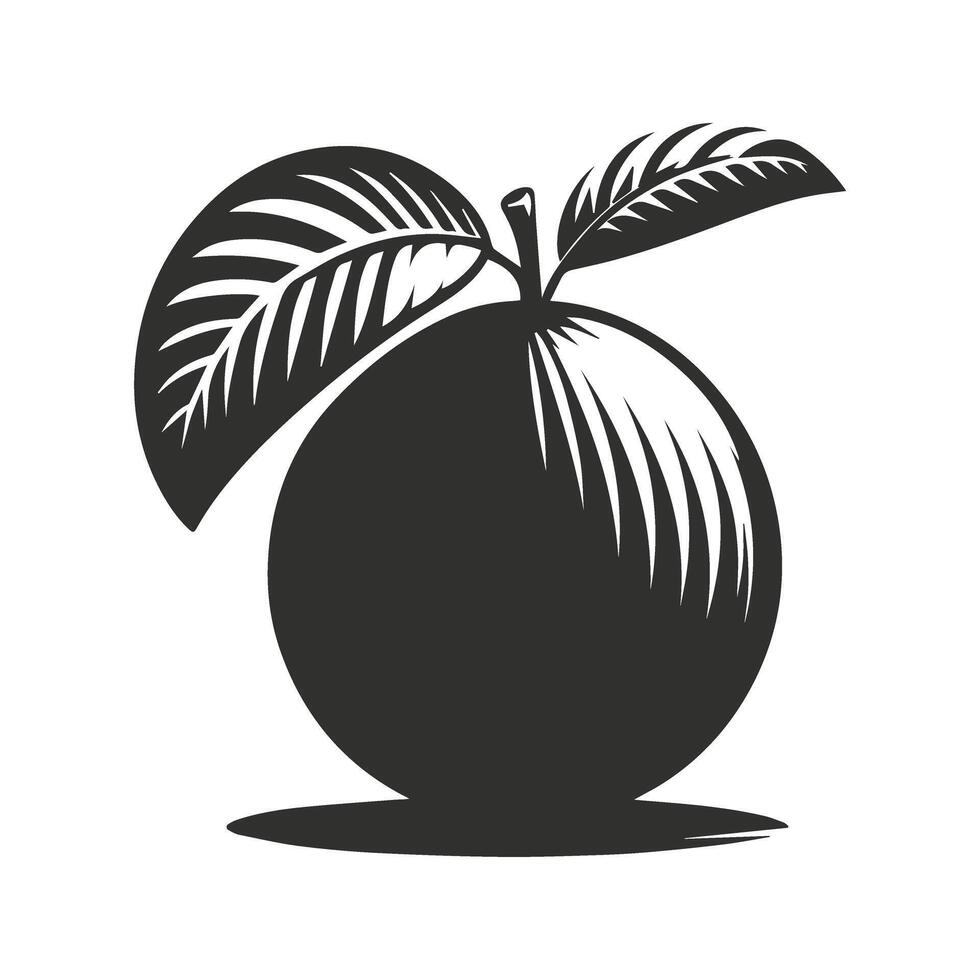 Clean Hand Drawn Peach Outline vector
