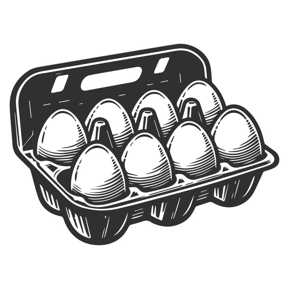Hand Drawn Eggs Packed In A Box vector