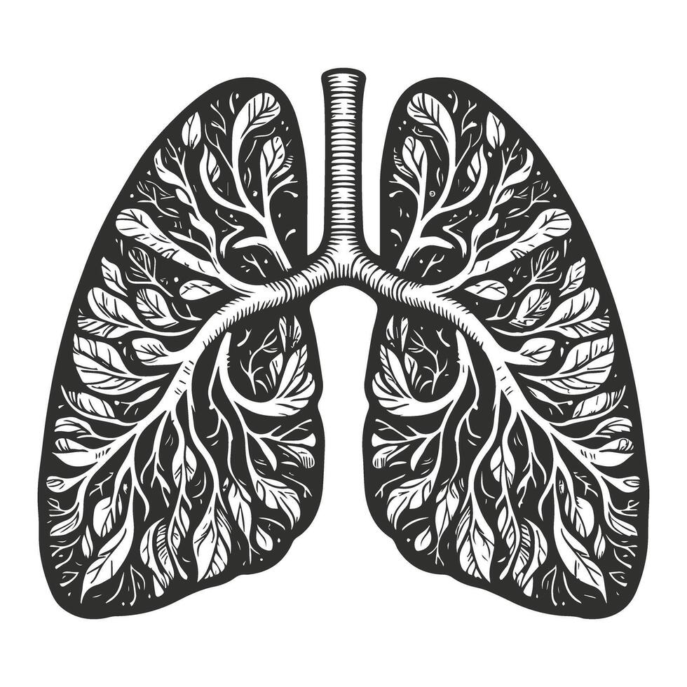 Anatomy Sketch in Vintage Style vector