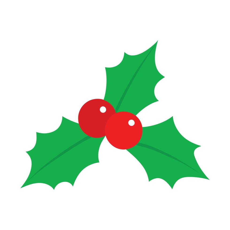 Christmas Holly Berry with Leaves on White Background vector