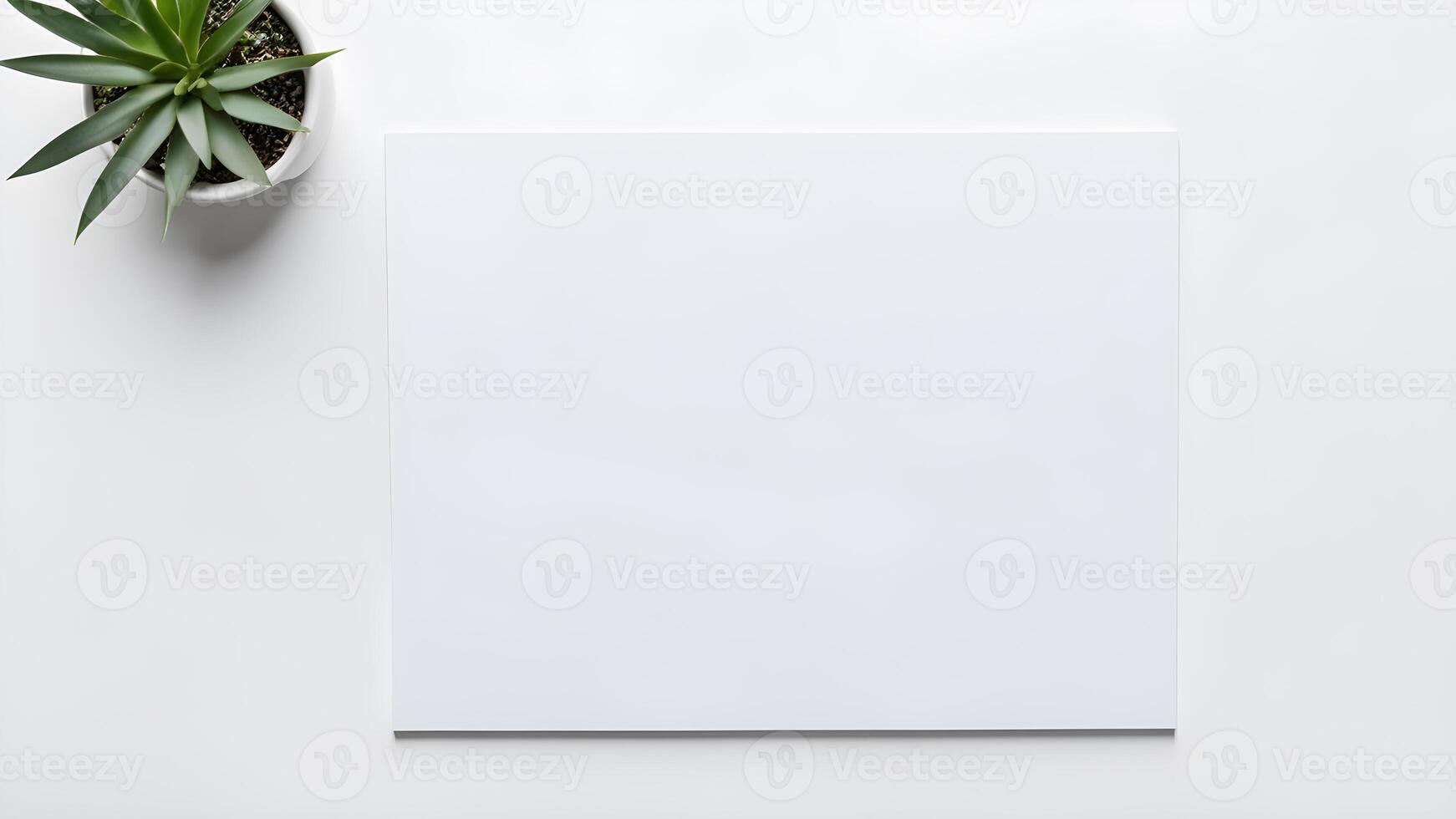Top view blank space white square paper mock up with little plant on white table for creative design photo