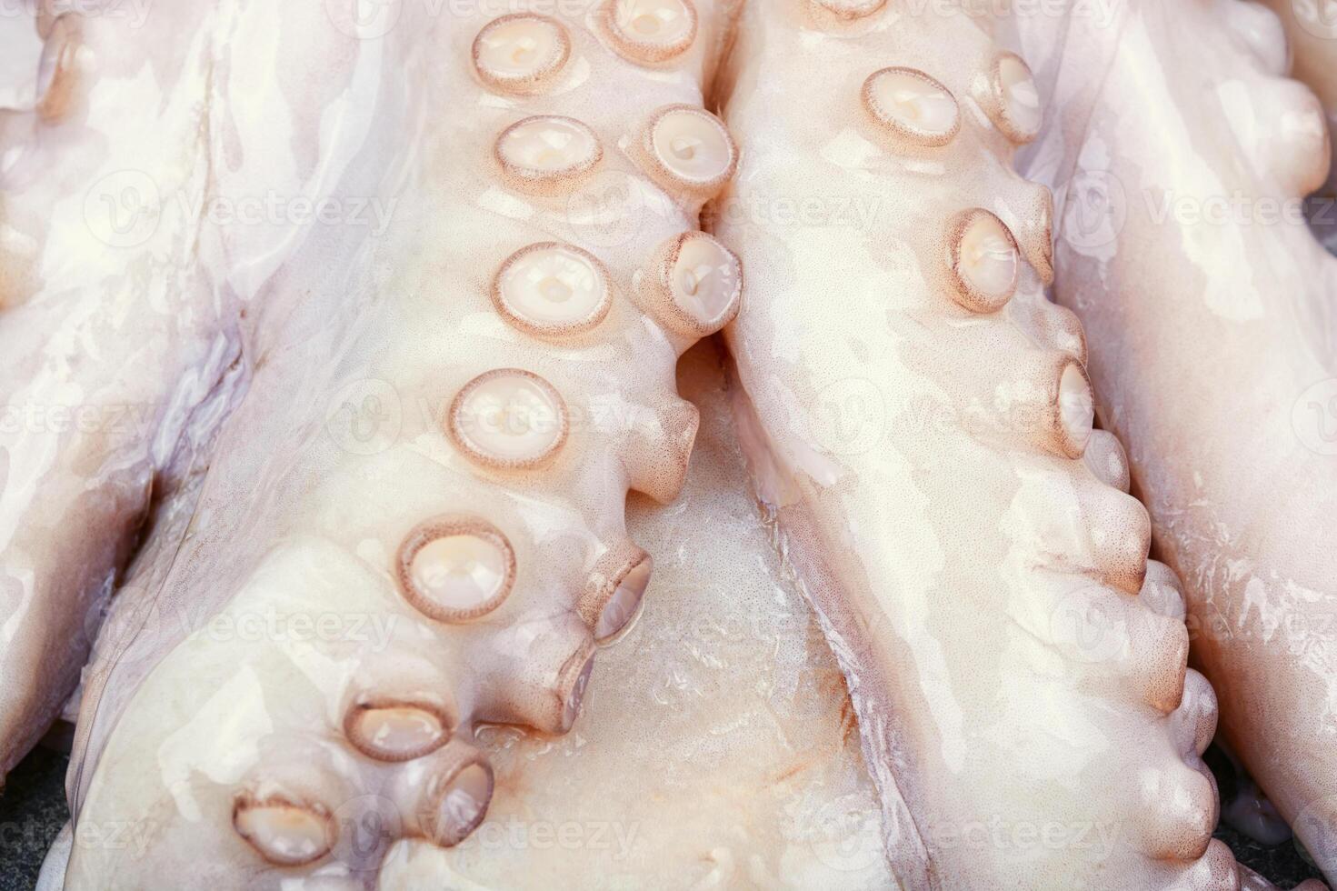 Whole frozen octopus. photo