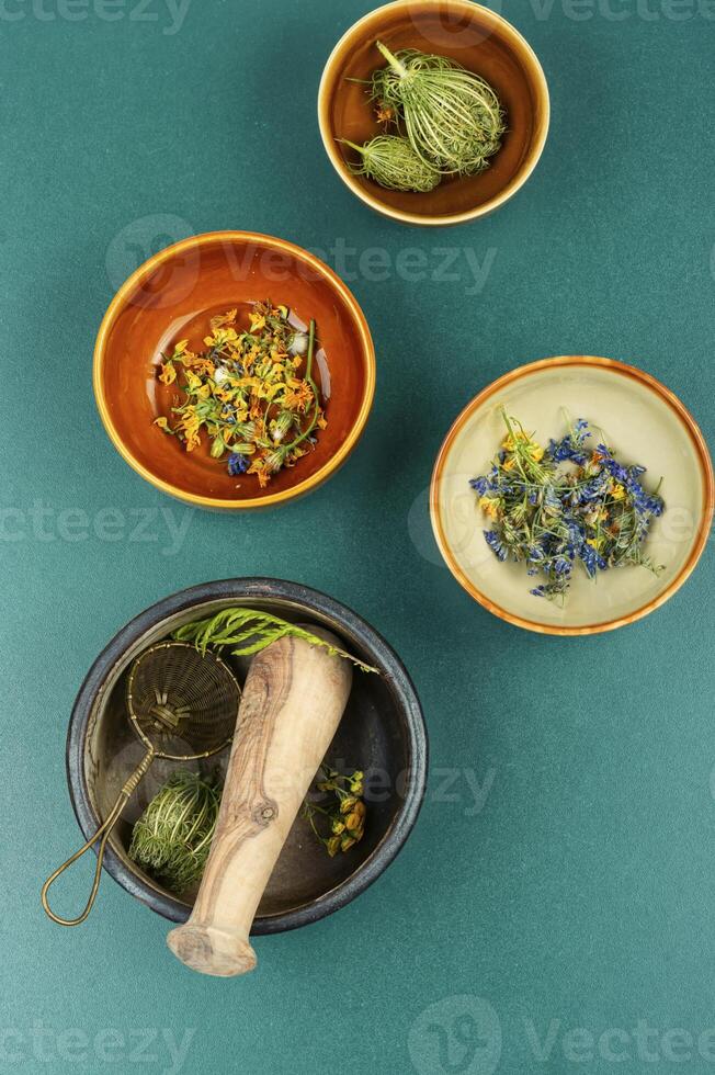 Medicinal herbs, alternative medicine. photo