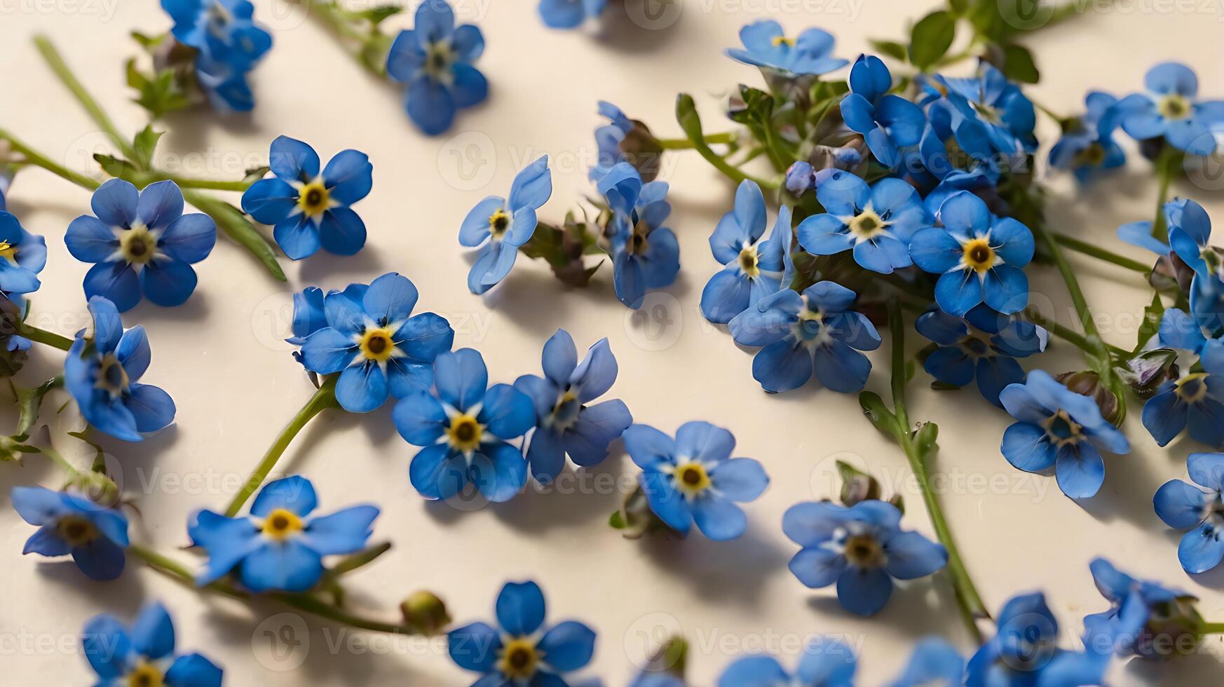 Forget me nots, blue flowers, forget me nots, blue flowers, forget me photo