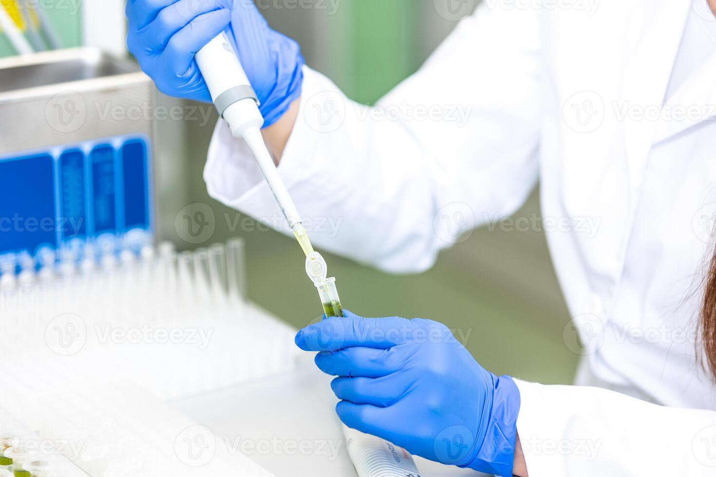 Scientist with dropper dripping liquid into a test tube in scientific laboratory, concept of pharmaceutical environment photo