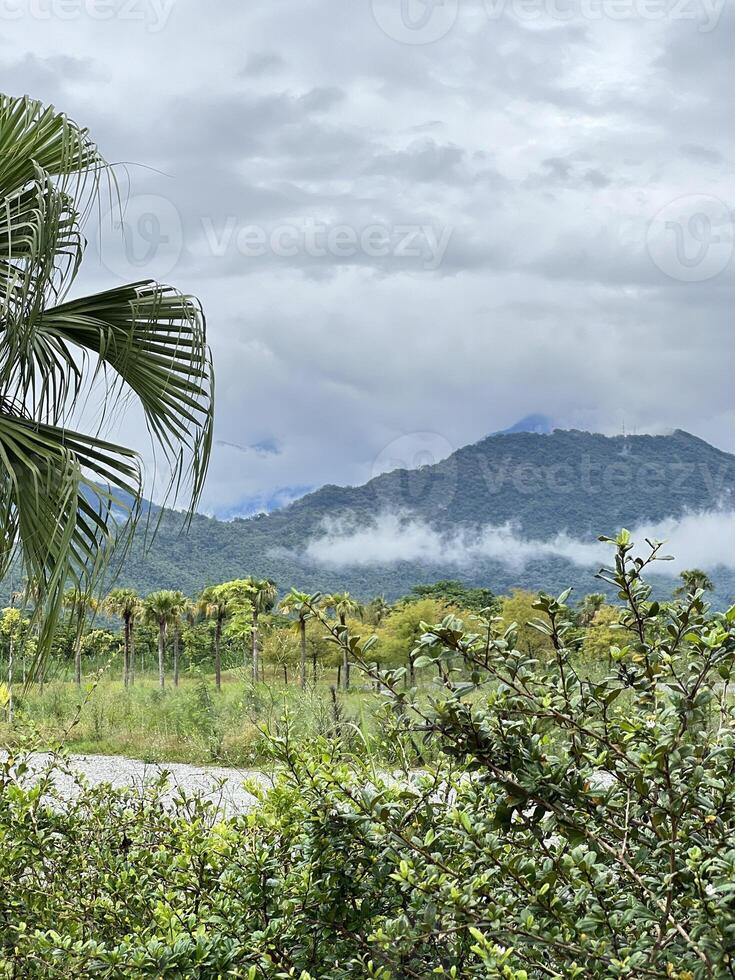 Tropical Mountain Scenery with Mist and Lush Greenery photo