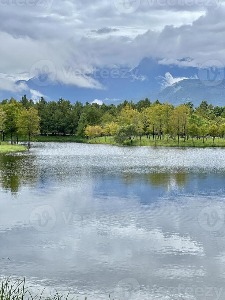 Scenic View of a Serene Lake with Lush Forest and Mist-Shrouded Mountains photo
